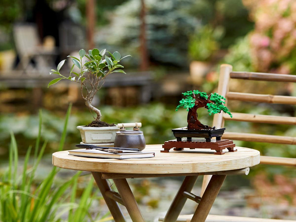 LEGO Botanicals Bonsaiboompje - 10281