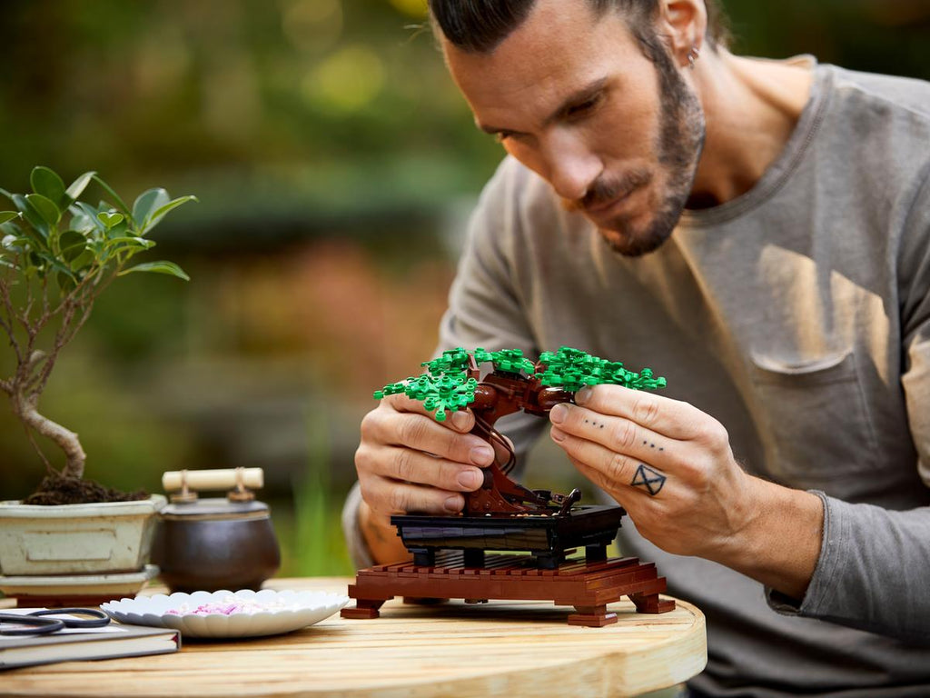 LEGO Botanicals Bonsaiboompje - 10281