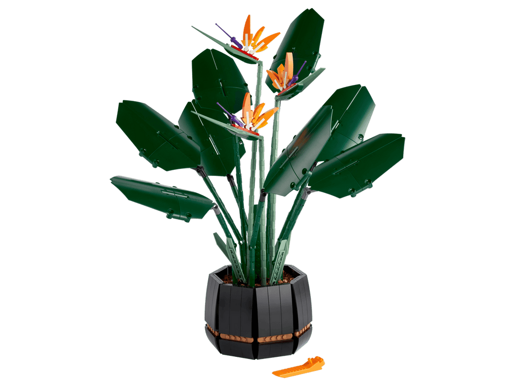 LEGO Botanicals Paradijsvogelplant - 10289