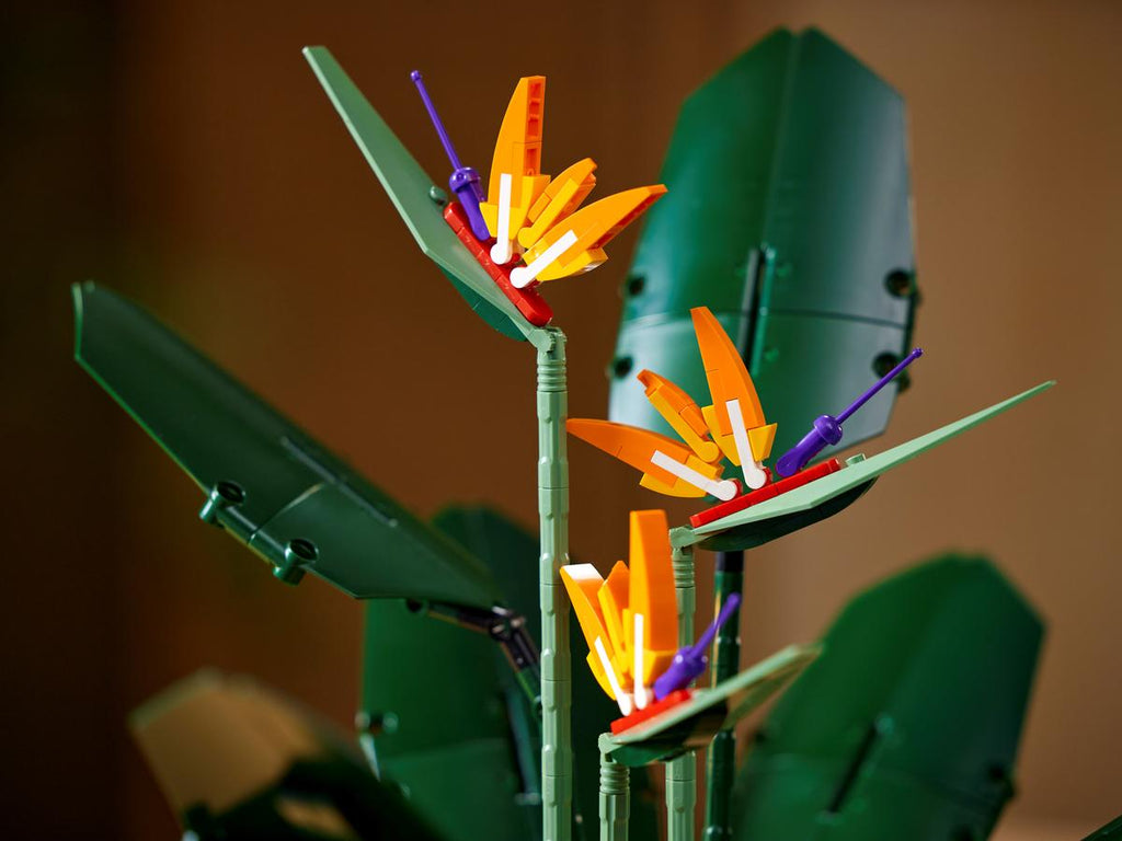 LEGO Botanicals Paradijsvogelplant - 10289
