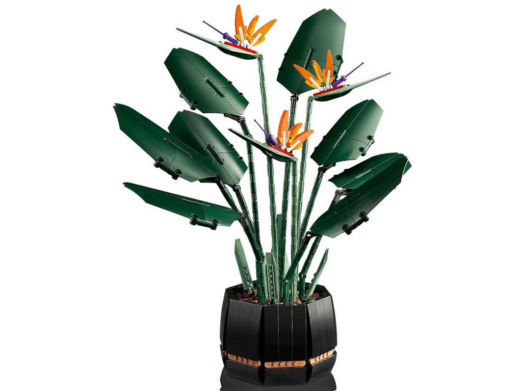 LEGO Botanicals Paradijsvogelplant - 10289
