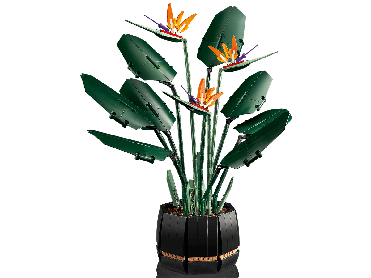 LEGO Botanicals Paradijsvogelplant - 10289