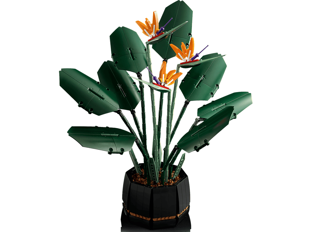 LEGO Botanicals Paradijsvogelplant - 10289