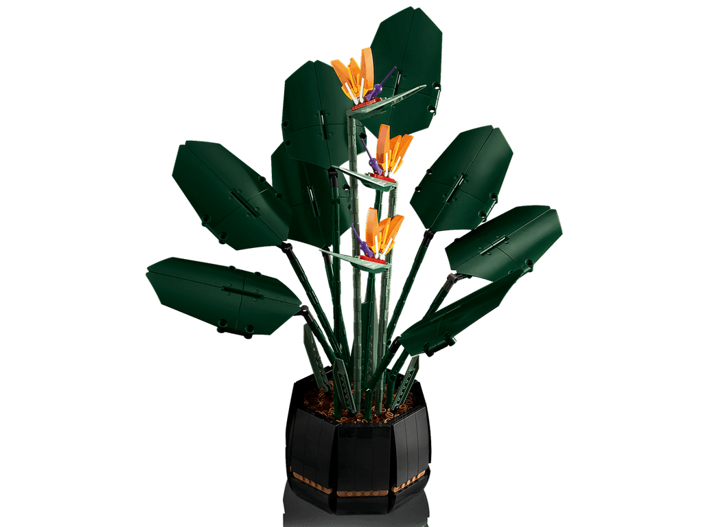 LEGO Botanicals Paradijsvogelplant - 10289