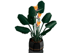 LEGO Botanicals Paradijsvogelplant - 10289