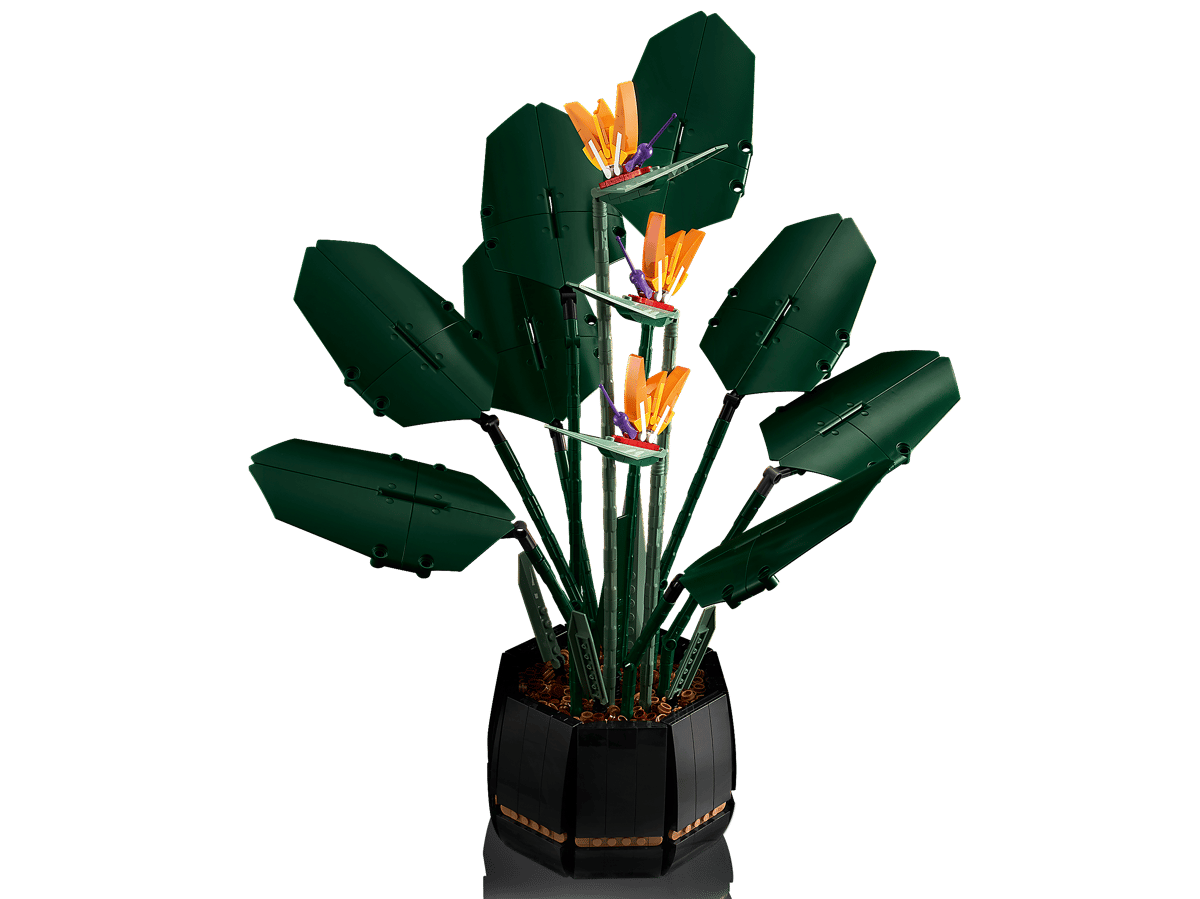 LEGO Botanicals Paradijsvogelplant - 10289