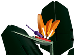 LEGO Botanicals Paradijsvogelplant - 10289