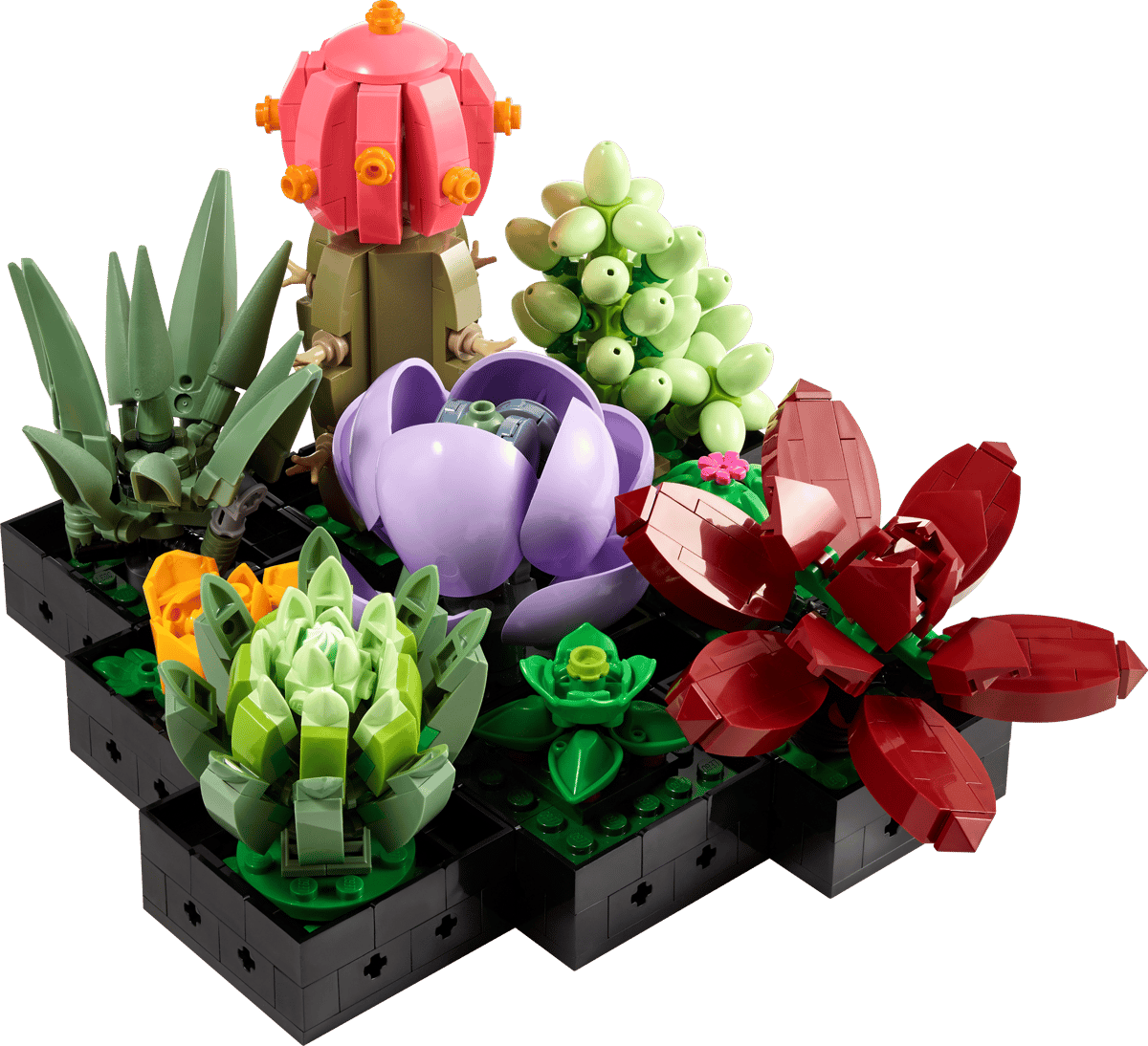 LEGO Botanicals Vetplanten - 10309