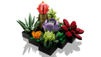 LEGO Botanicals Vetplanten - 10309