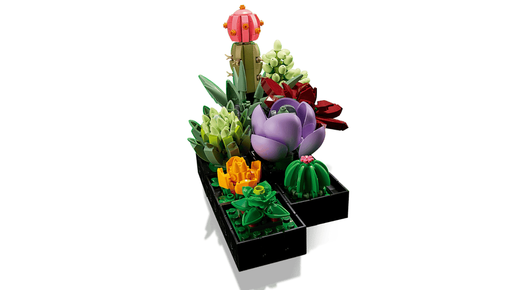 LEGO Botanicals Vetplanten - 10309