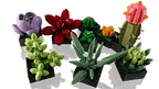 LEGO Botanicals Vetplanten - 10309