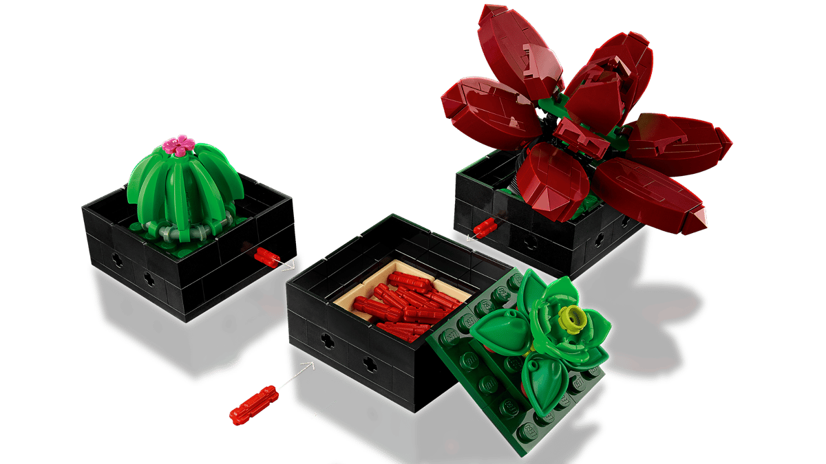 LEGO Botanicals Vetplanten - 10309