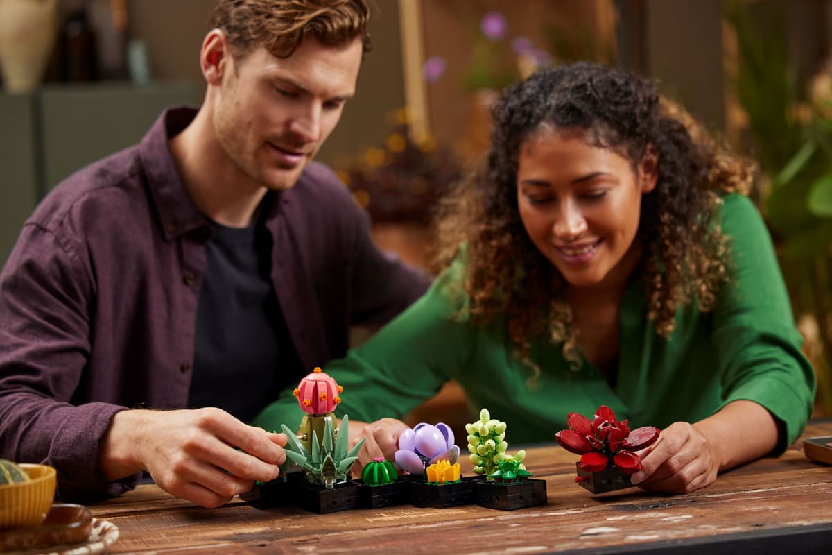 LEGO Botanicals Vetplanten - 10309