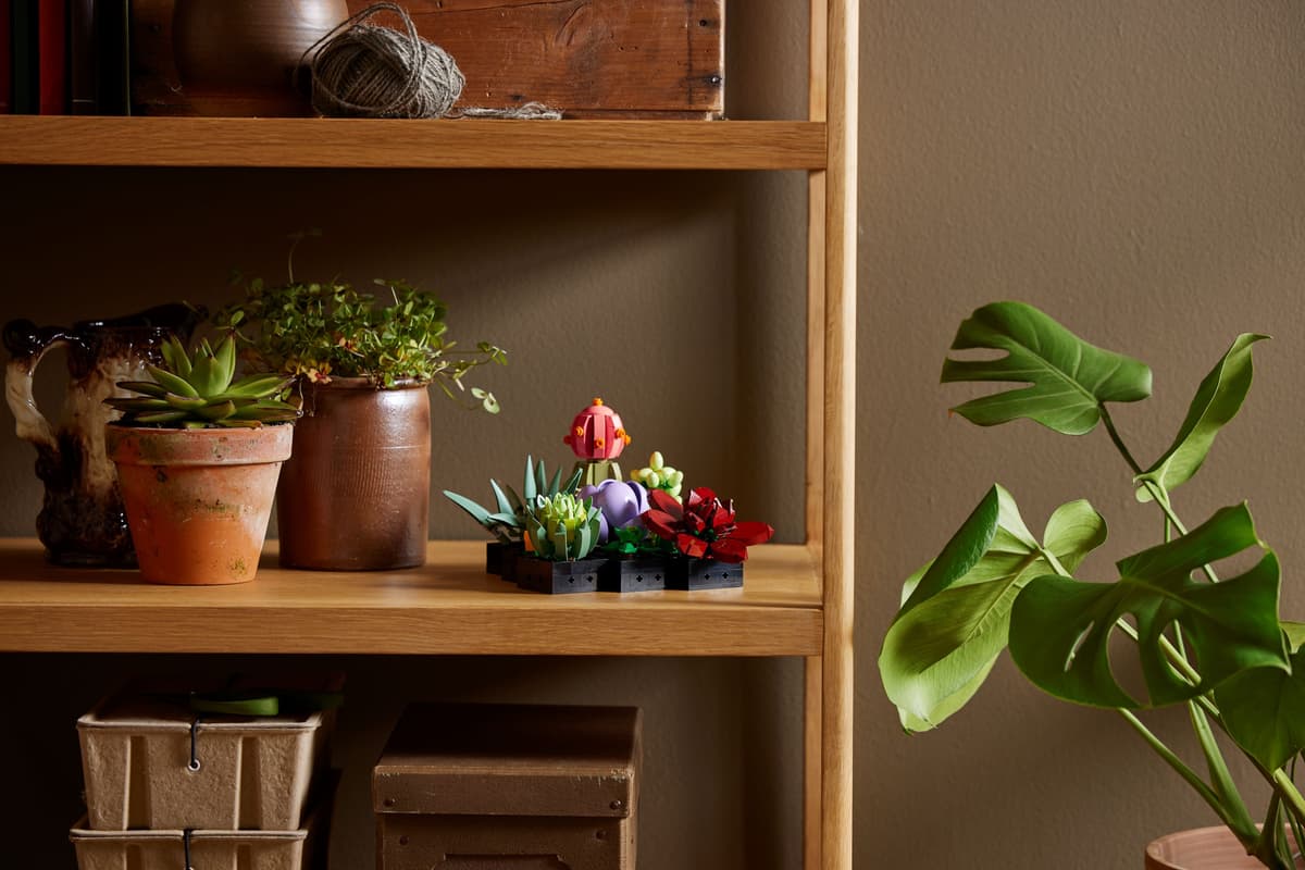 LEGO Botanicals Vetplanten - 10309