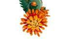 LEGO Botanical Chrysant - 10368