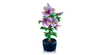 LEGO Botanicals Hibiscus - 10372