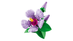 LEGO Botanicals Hibiscus - 10372