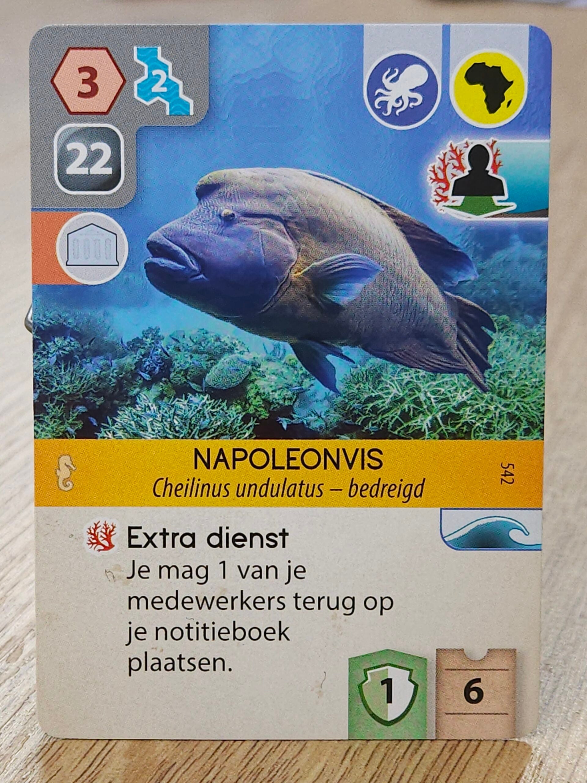 Ark Nova Uitbreiding: Waterwereld - Bordspel (NL)
