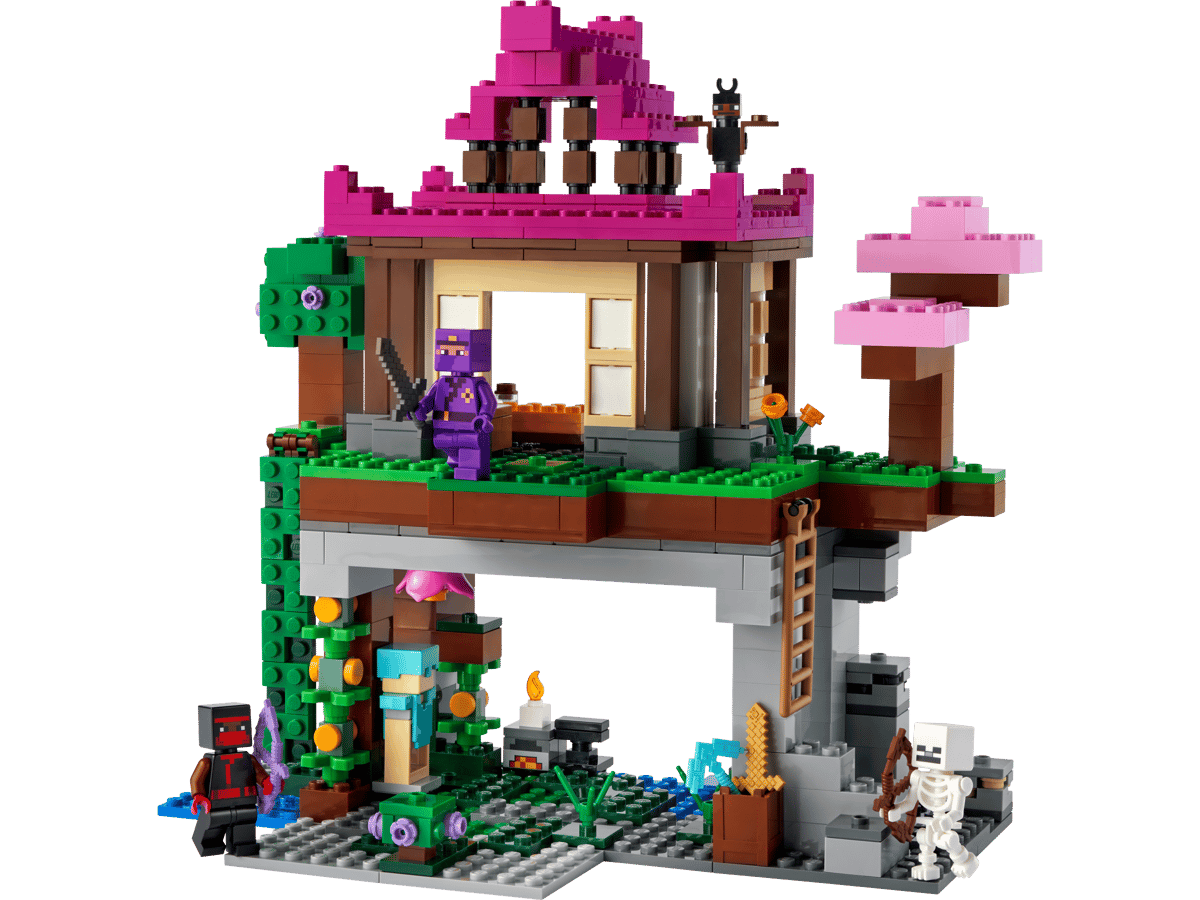 LEGO Minecraft De Trainingsplaats - 21183