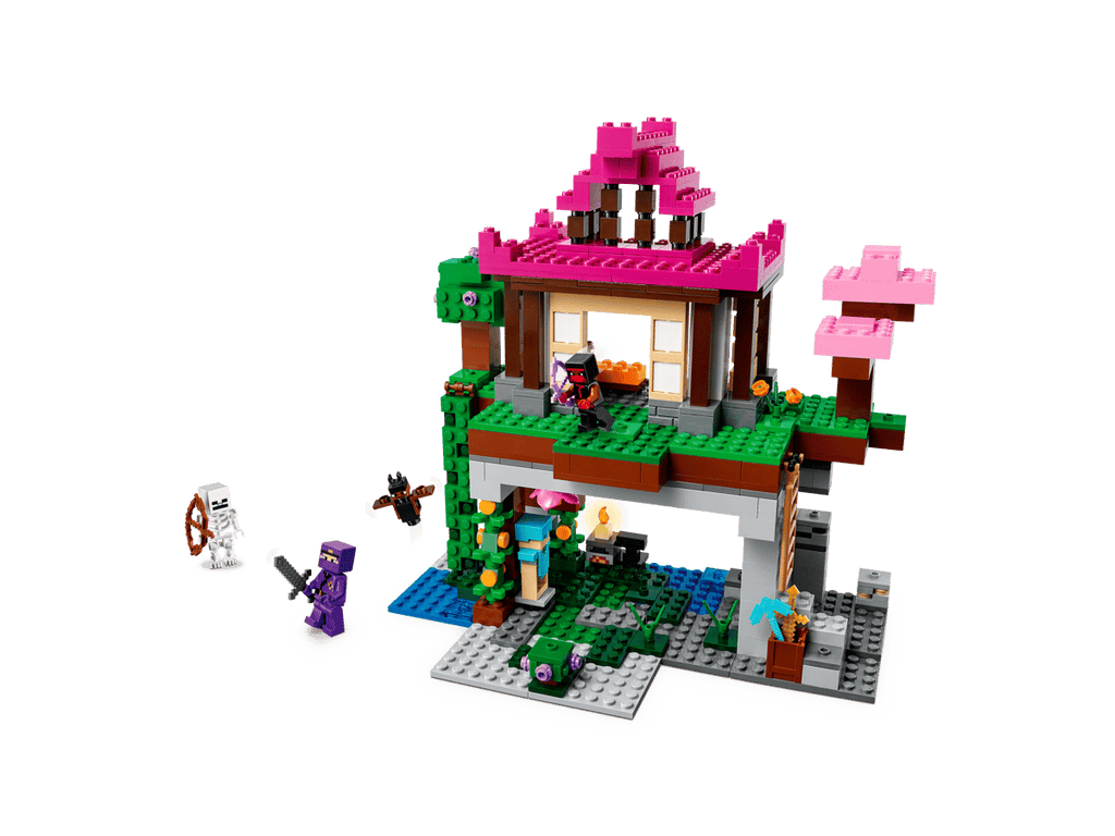 LEGO Minecraft De Trainingsplaats - 21183