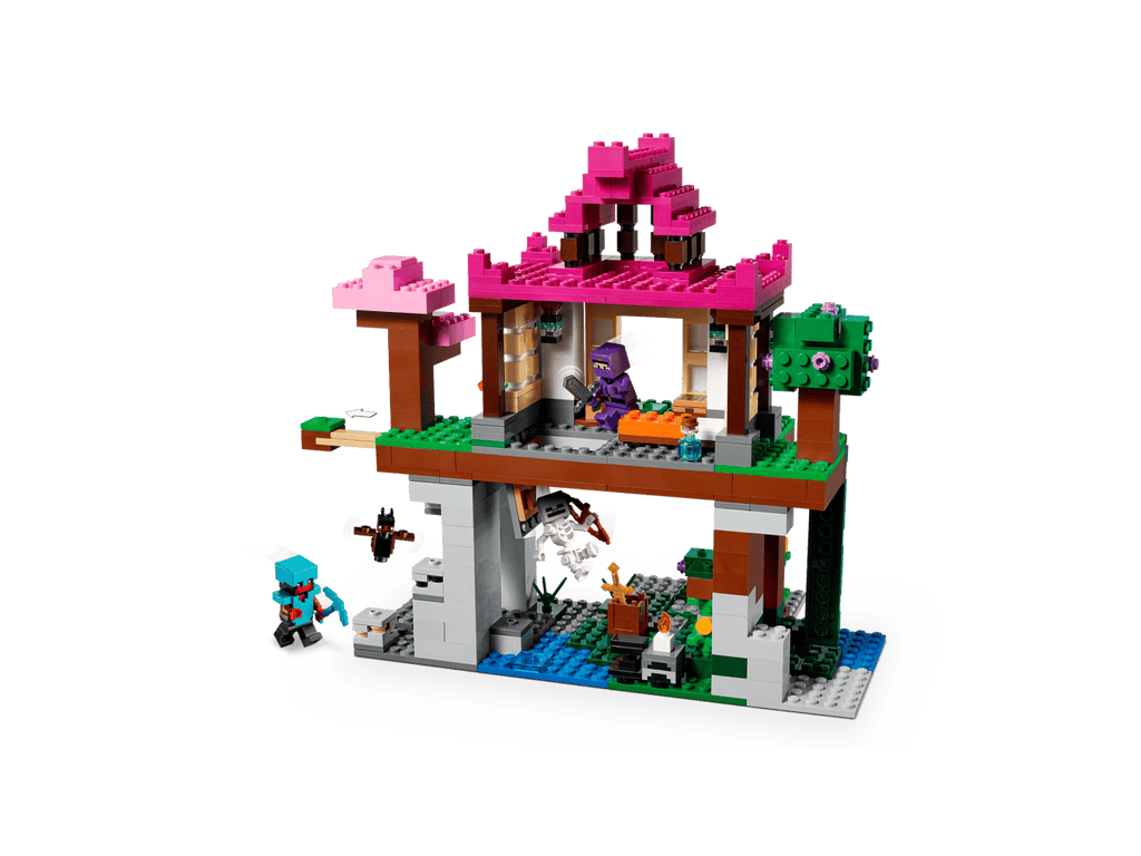 LEGO Minecraft De Trainingsplaats - 21183