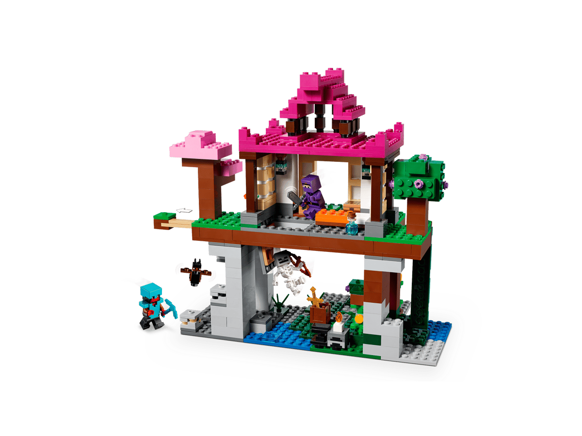 LEGO Minecraft De Trainingsplaats - 21183