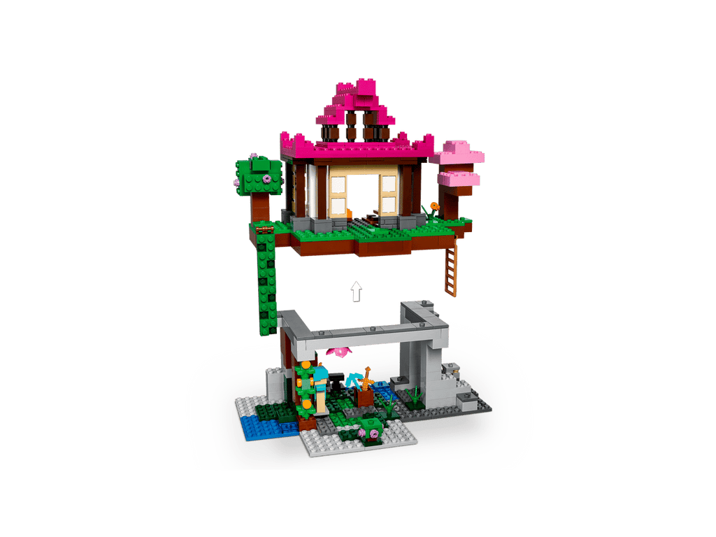 LEGO Minecraft De Trainingsplaats - 21183