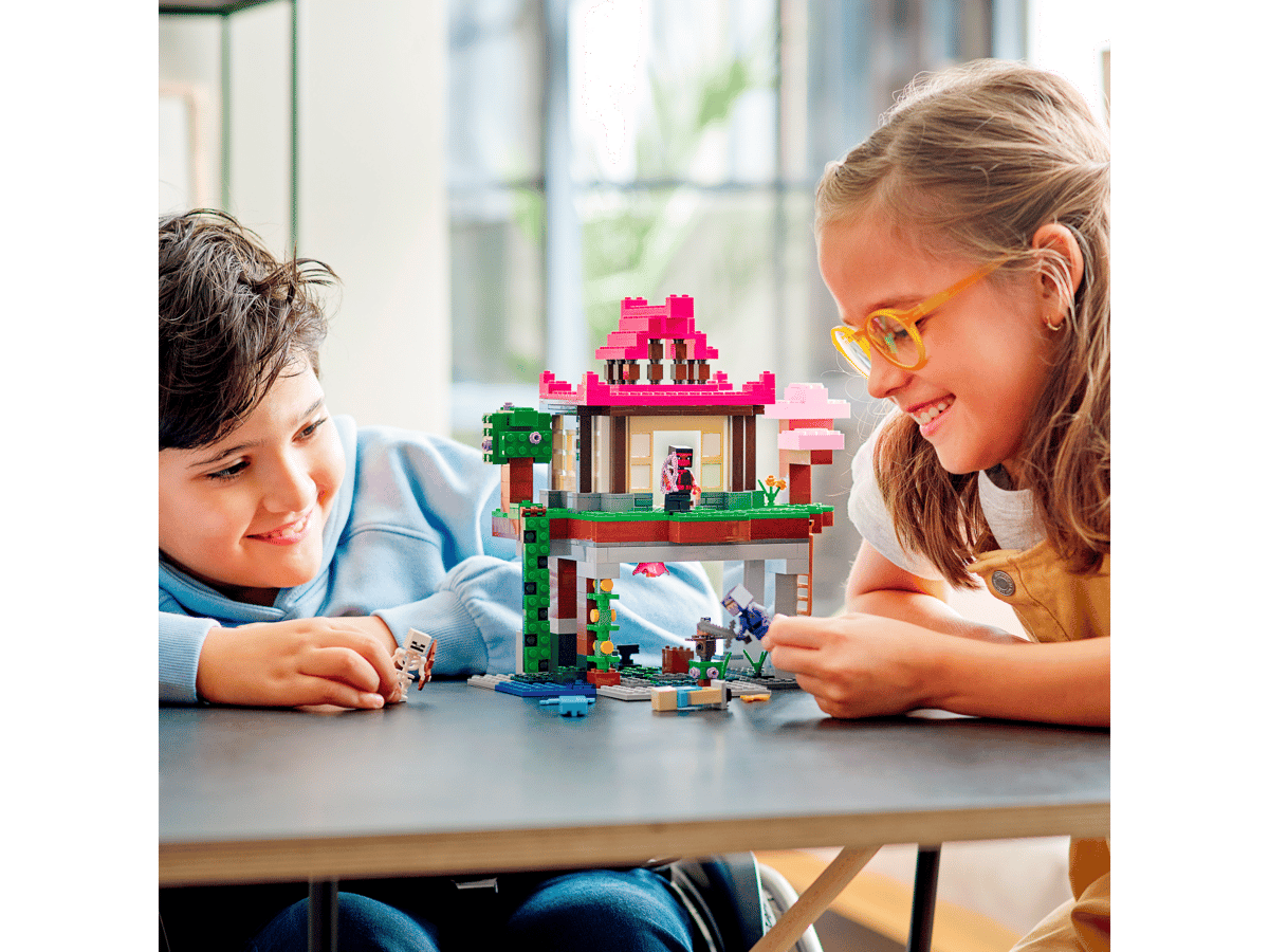 LEGO Minecraft De Trainingsplaats - 21183