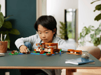 LEGO Minecraft Het kikkerhuis - 21256
