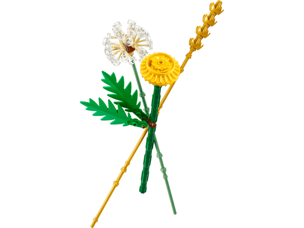 LEGO Botanicals Veldbloemen - 30701