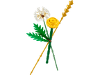 LEGO Botanicals Veldbloemen - 30701
