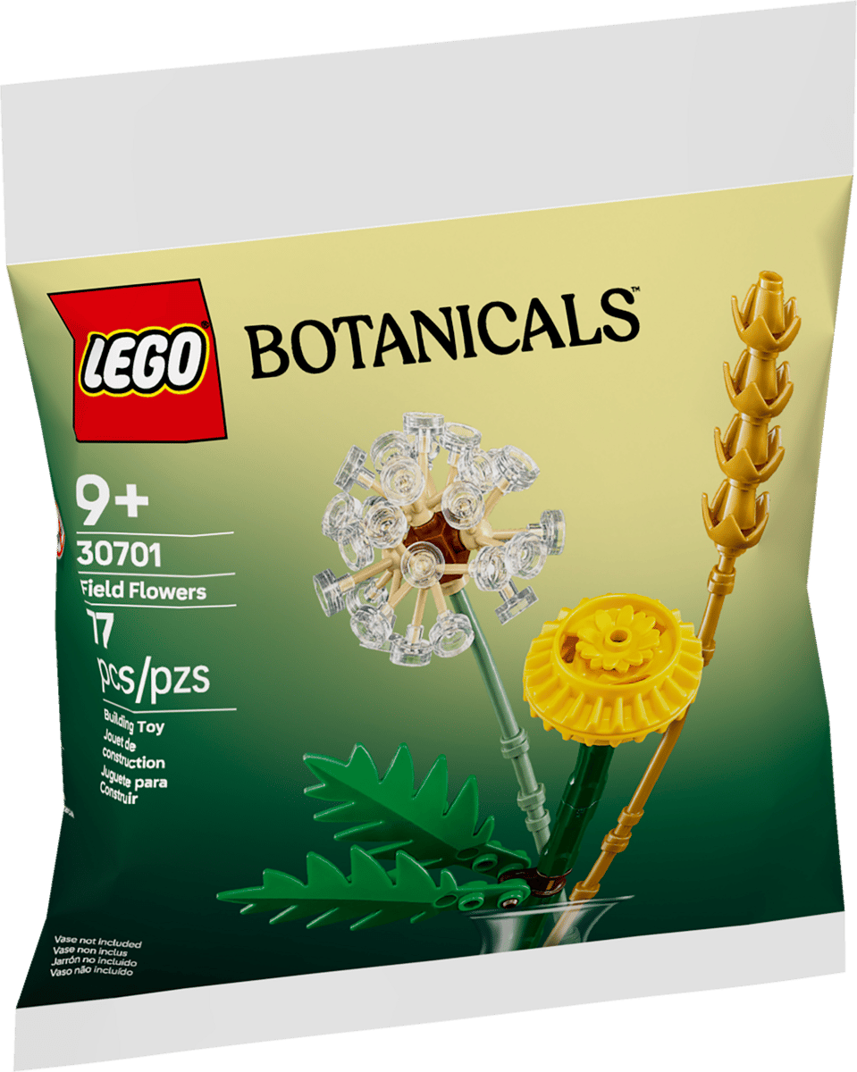 LEGO Botanicals Veldbloemen - 30701