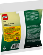 LEGO Botanicals Veldbloemen - 30701