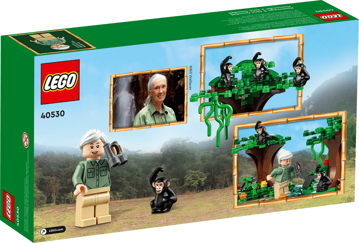 LEGO Eerbetoon aan Jane Goodall - 40530