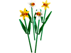 LEGO Botanicals Narcissen - 40646