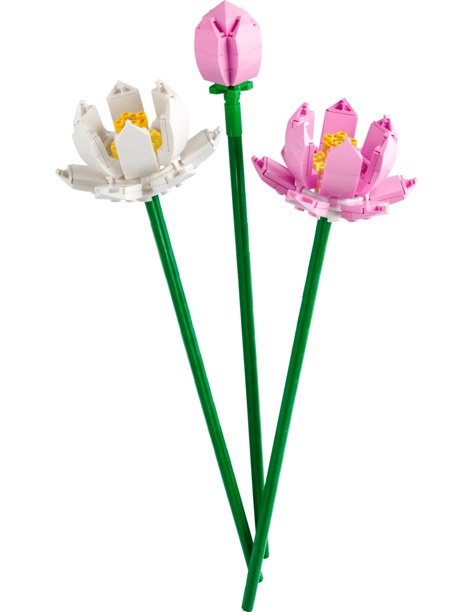 LEGO Botanical Lotusbloemen - 40647