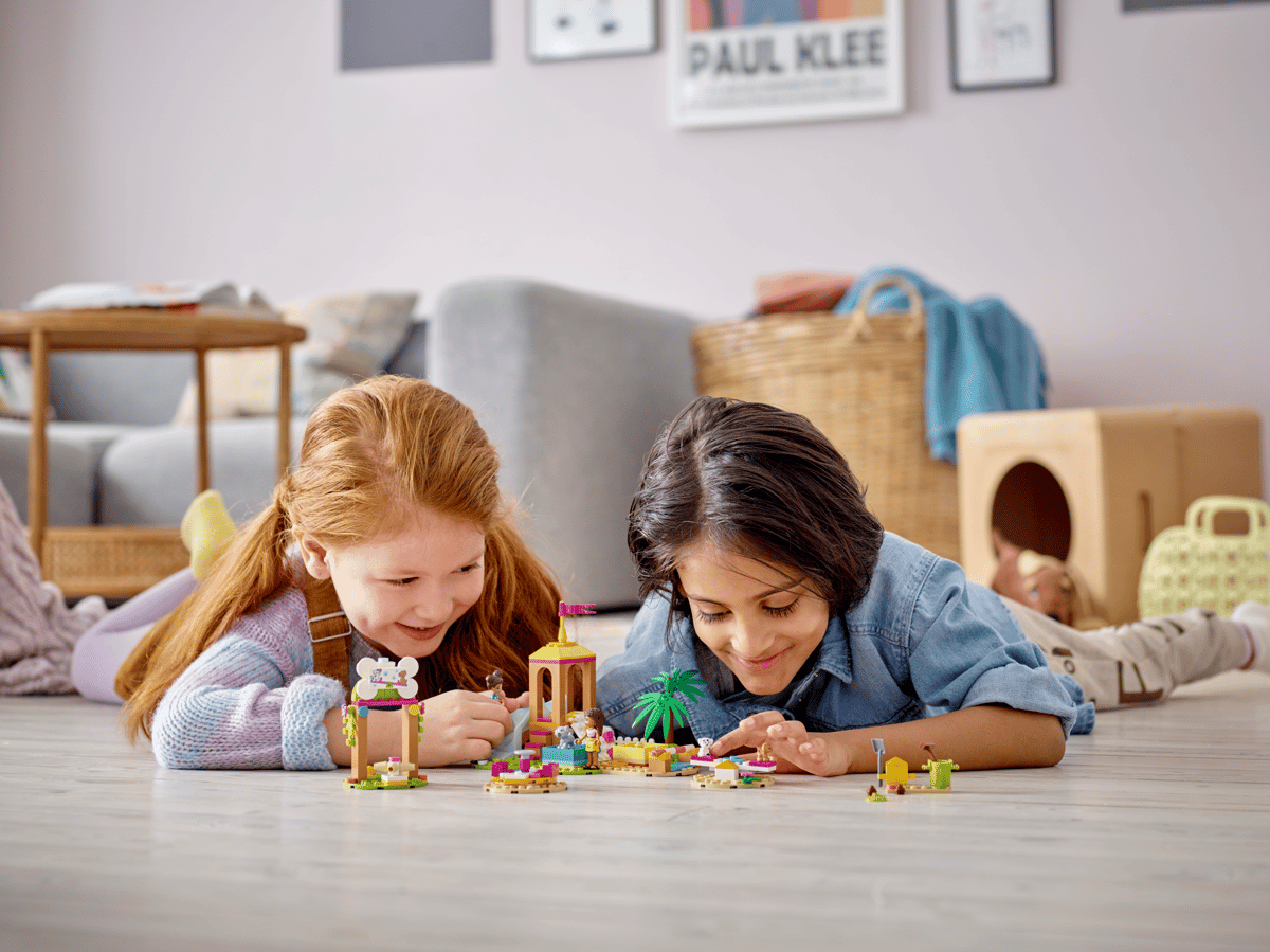 LEGO Friends Dierenspeeltuin - 41698