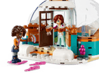 LEGO Friends Iglo vakantieavontuur - 41760
