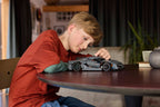 LEGO Technic Koenigsegg Jesko Absolut grijze hypercar - 42173