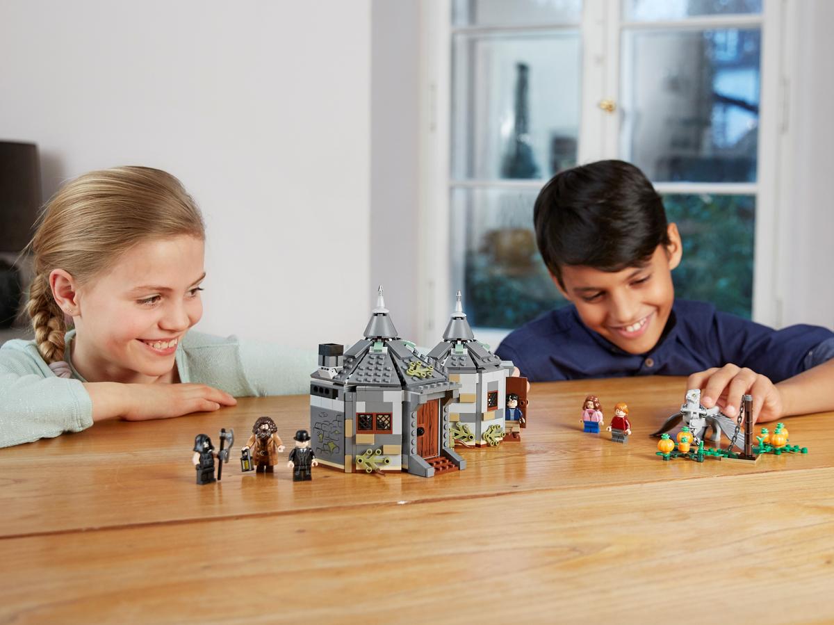 LEGO Harry Potter Hagrids huisje: Scheurbeks ontsnapping - 75947