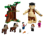 LEGO Harry Potter Het Verboden Bos: Omber's ontmoeting met Groemp - 75967