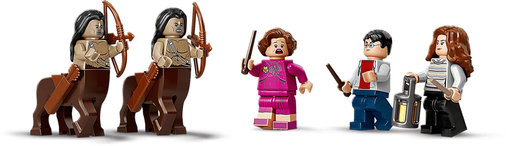 LEGO Harry Potter Het Verboden Bos: Omber's ontmoeting met Groemp - 75967
