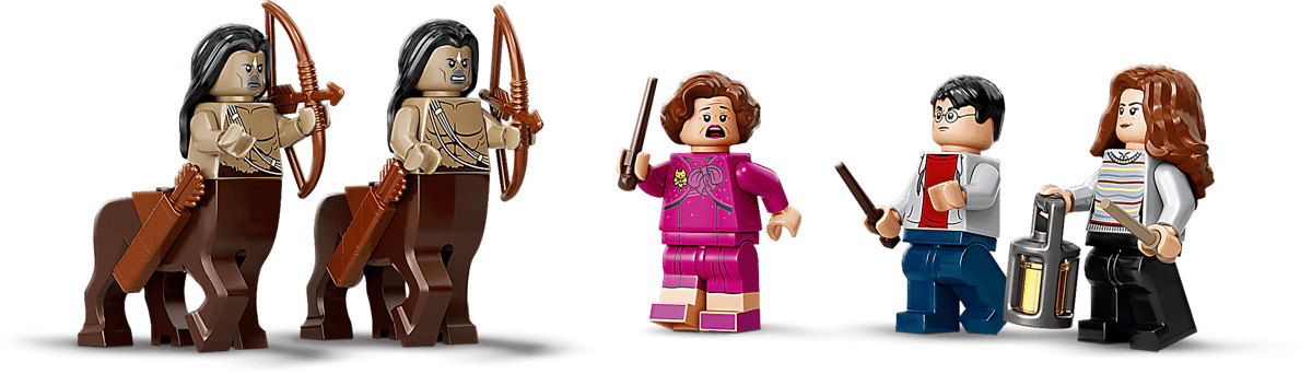 LEGO Harry Potter Het Verboden Bos: Omber's ontmoeting met Groemp - 75967
