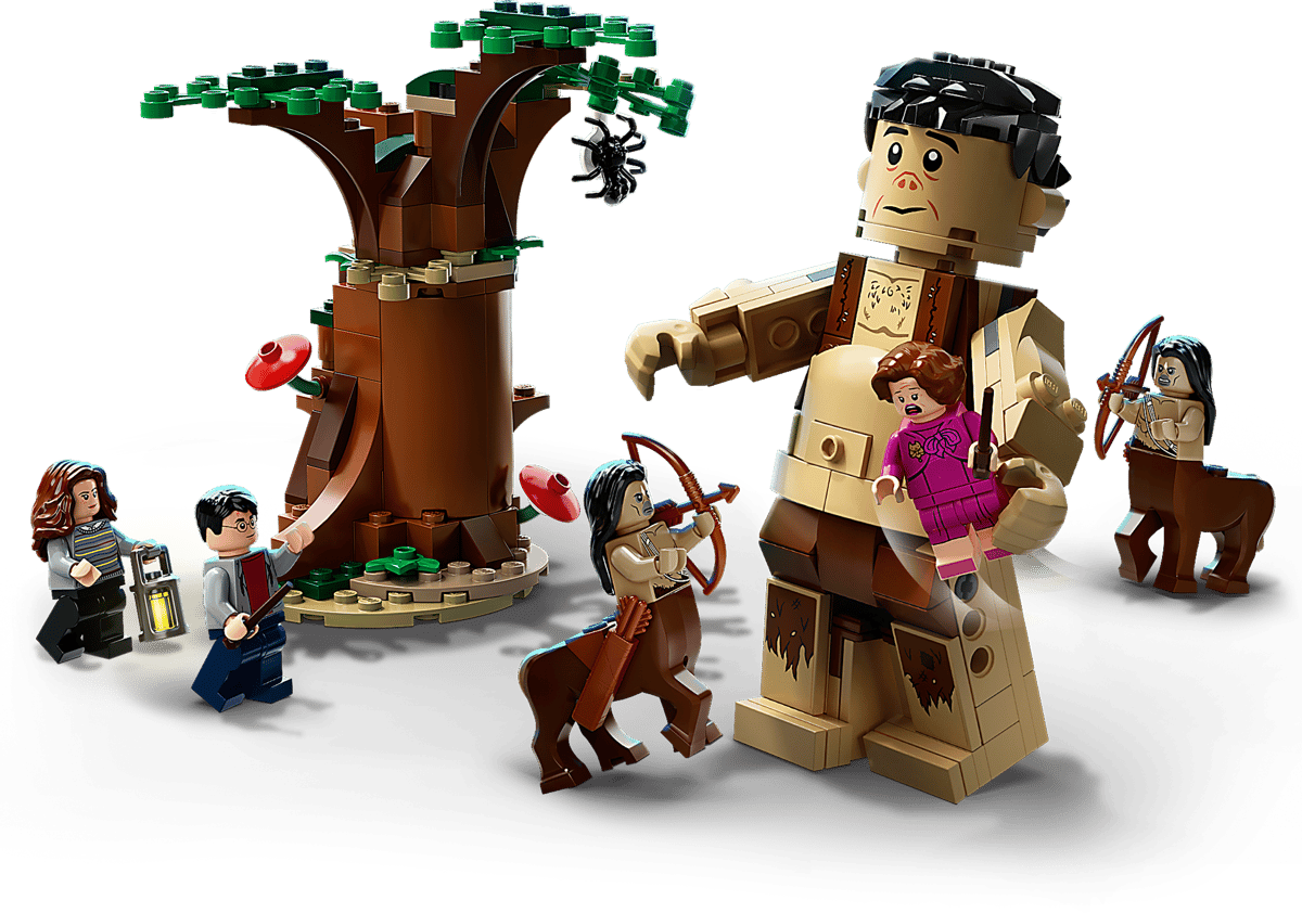 LEGO Harry Potter Het Verboden Bos: Omber's ontmoeting met Groemp - 75967
