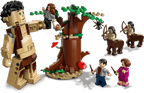 LEGO Harry Potter Het Verboden Bos: Omber's ontmoeting met Groemp - 75967