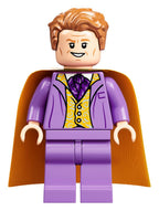 LEGO Harry Potter De Wegisweg - 75978