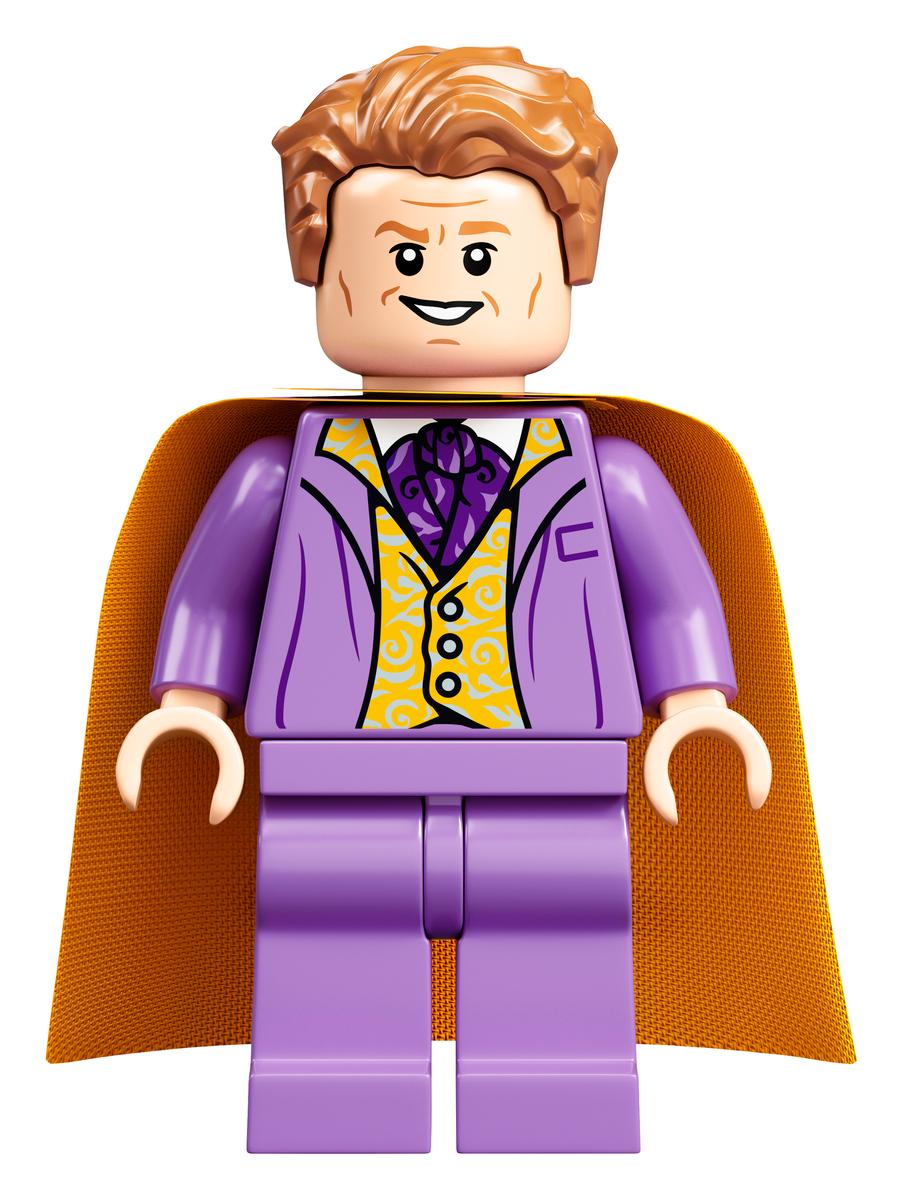 LEGO Harry Potter De Wegisweg - 75978