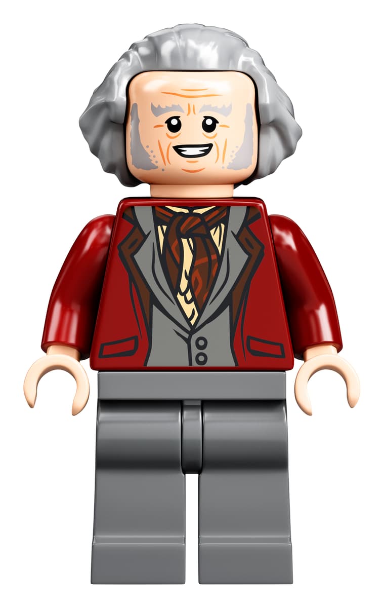 LEGO Harry Potter De Wegisweg - 75978
