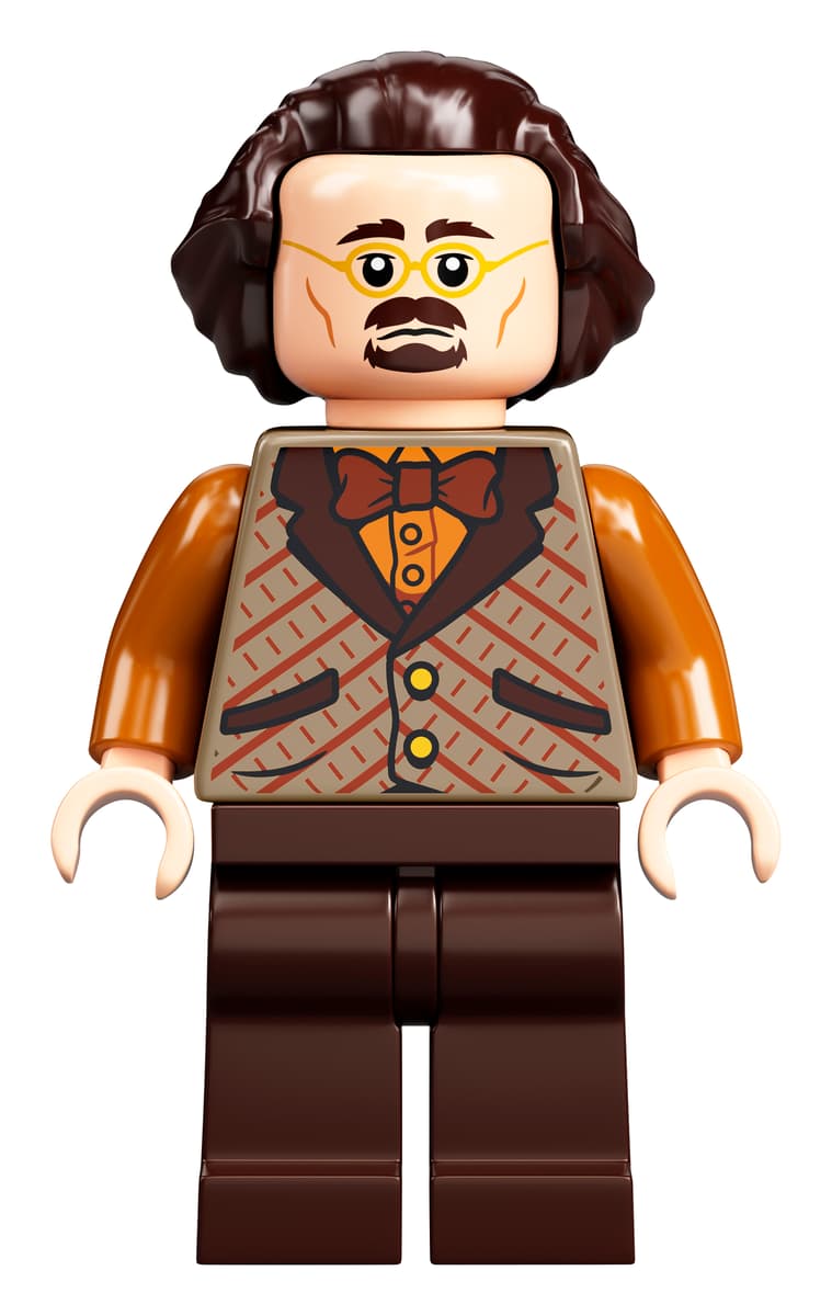 LEGO Harry Potter De Wegisweg - 75978