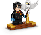 LEGO Harry Potter Hedwig - 75979